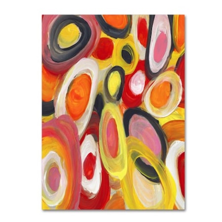 Amy Vangsgard 'Colorful Abstract Circles 4' Canvas Art,24x32